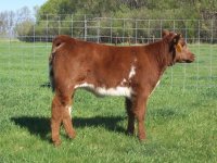 Lot 7-1.jpg