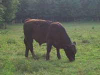 Dream King June 2012 pic 4 resized_opt.jpg