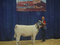 grand island 046_opt.jpg