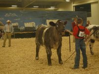 grand island 059_opt.jpg