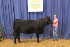 OEF Jr percentage Champ open.jpg