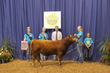 OEF Res Champ Simm Bull.jpg