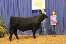 OEF Grand Champ percentage bull jr.jpg