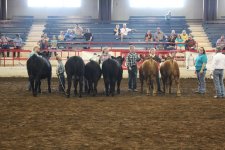 OEF champ pen of 6 open.jpg