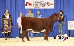 ruby jr nats.gif