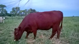 WP_20160629_21_25_54_Selfie.jpg