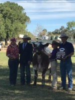 2017 Grand Champion Australian National Junior Show.jpg