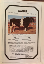 caqui.png