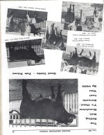 Retnuh Valeria 3rd and BC,  AMSS Nat. Sale,  1960.jpg