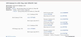 B413D993-B813-4D21-9EA8-39E7CFB2D698.jpeg