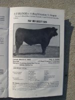 Mr beefy.JPG