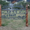 DonaheyCattle