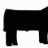 sccattle